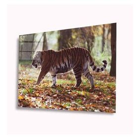 İdeal Glass Art Kaplan 4 mm Dayanıklı Temperli Cam Tablo