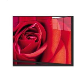 İdeal Glass Art Kırmızı Gül Cam Tablo