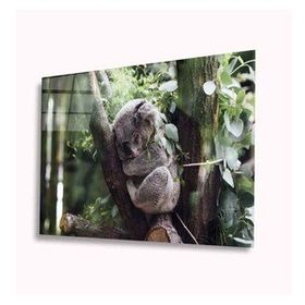 İdeal Glass Art Koala 4 mm Dayanıklı Temperli Cam Tablo