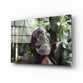İdeal Glass Art Koala Cam Tablo