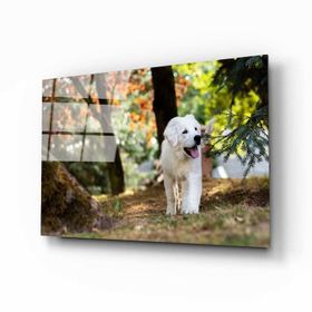 İdeal Glass Art Köpek Cam Tablo