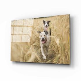 İdeal Glass Art Köpek Cam Tablo