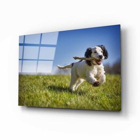 İdeal Glass Art Köpek Cam Tablo