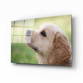 İdeal Glass Art Köpek Cam Tablo