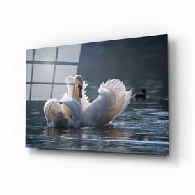 İdeal Glass Art Ördek Cam Tablo