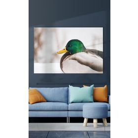 İdeal Glass Art Ördek Cam Tablo
