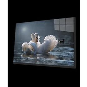 İdeal Glass Art Ördek Cam Tablo