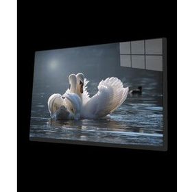 İdeal Glass Art Ördek Cam Tablo