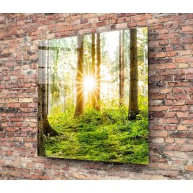 İdeal Glass Art Orman Cam Tablo