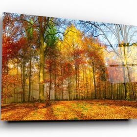 İdeal Glass Art Orman Cam Tablo