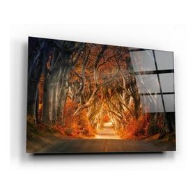 İdeal Glass Art Orman Cam Tablo