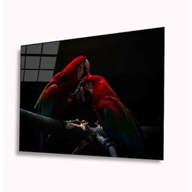 İdeal Glass Art Papağan 4 mm Dayanıklı Temperli Cam Tablo