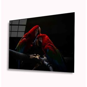 İdeal Glass Art Papağan 4 mm Dayanıklı Temperli Cam Tablo