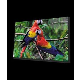 İdeal Glass Art Papağan 4 mm Dayanıklı Temperli Cam Tablo