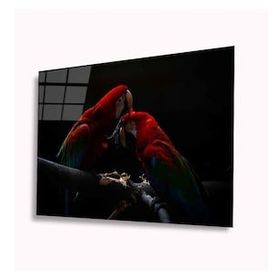 İdeal Glass Art Papağan 4 mm Dayanıklı Temperli Cam Tablo