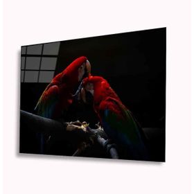 İdeal Glass Art Papağan 4 mm Dayanıklı Temperli Cam Tablo