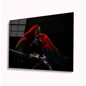 İdeal Glass Art Papağan 4 mm Dayanıklı Temperli Cam Tablo