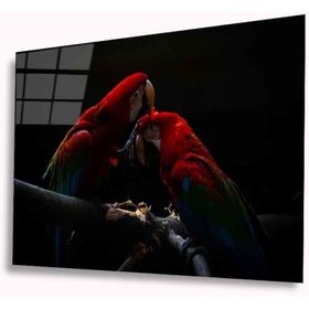 İdeal Glass Art Papağan 4 mm Dayanıklı Temperli Cam Tablo