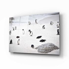 İdeal Glass Art Penguen Cam Tablo