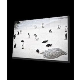 İdeal Glass Art Penguen Cam Tablo