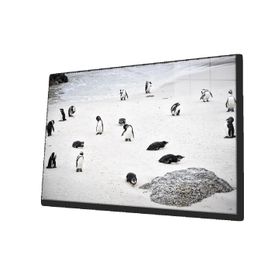 İdeal Glass Art Penguen Cam Tablo