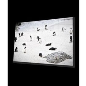 İdeal Glass Art Penguen Cam Tablo