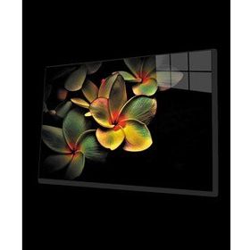 İdeal Glass Art Renkli Çicek Cam Tablo