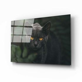 İdeal Glass Art Siyah Kedi Cam Tablo
