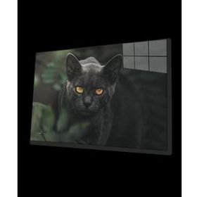 İdeal Glass Art Siyah Kedi Cam Tablo