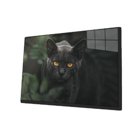 İdeal Glass Art Siyah Kedi Cam Tablo