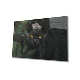İdeal Glass Art Siyah Kedi Cam Tablo