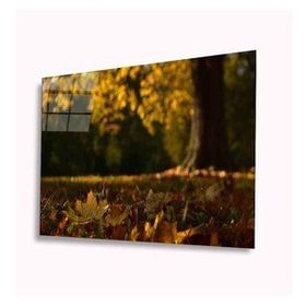 İdeal Glass Art Sonbahar 4 mm Dayanıklı Temperli Cam Tablo