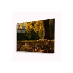 İdeal Glass Art Sonbahar 4 mm Dayanıklı Temperli Cam Tablo