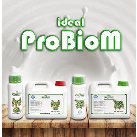 Ideal Probiom Liquid 1 lt Beslenme Ürünü