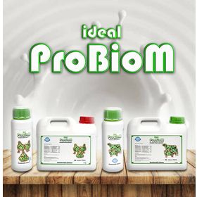 Ideal Probiom Liquid 1 lt Beslenme Ürünü