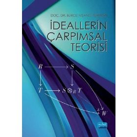 İdeallarin Çarpımsal Teorisi - Burcu Nişancı Türkmen