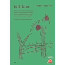 İdilikler - Haydar Ergülen