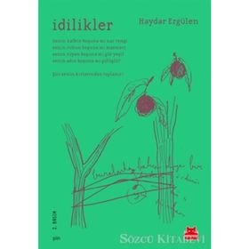 İdilikler - Haydar Ergülen