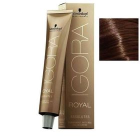 Igora Royal Absolutes 6-60 Koyu Kumral Çikolata 2 Adet Saç Boyası