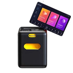 Ikarao Break X2 300 W 10 inç Taşınabilir Karaoke Bluetooth Hoparlör Seti