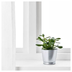 IKEA Bıntje Galvanizli 9 cm Saksı