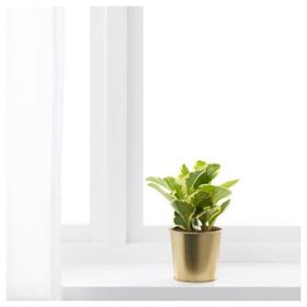 IKEA Daıdaı Pirinç Rengi 9 cm Saksı