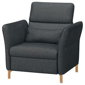 IKEA Fammarp Tallmyra Siyah-Gri Tekli Koltuk