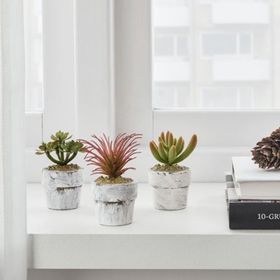 IKEA Fejka 6 cm 3 adet Saksılı Yapay Bitki