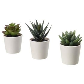 IKEA Fejka 6 cm 3 adet Saksılı Yapay Bitki