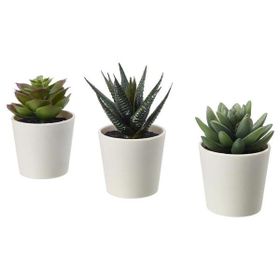IKEA Fejka Kaktüs 3'lü Set 6 cm Yapay Bitki Çiçek Saksılı Kaktüs