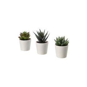IKEA Fejka Kaktüs 3'lü Set 6 cm Yapay Bitki Çiçek Saksılı Kaktüs