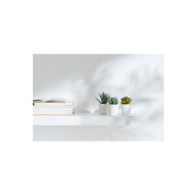 IKEA Fejka Kaktüs 3'lü Set 6 cm Yapay Bitki Çiçek Saksılı Kaktüs