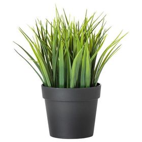 IKEA FEJKA Yapay Bitki Çim 9 cm