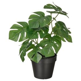 IKEA FEJKA Yapay Bitki Ortanca Yeşil 12 cm